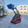 450kg 1000lbs Hydraulic Mini Skid Steer Loader with Bucket for Sale